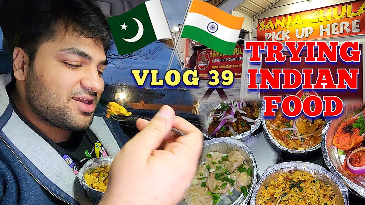 VLOG 39 Pakistani Trying Indian Street Food Punjabi Street Food