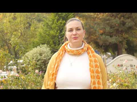 Песен на светлия път