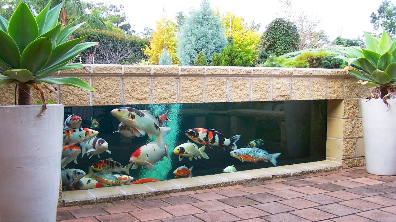 BEAUTIFUL! 100+ HOME KOI FISH PONDS DESIGN IDEAS | TIPS TO CREATE OUTDOOR BACKYARD GARDEN FISH POND
