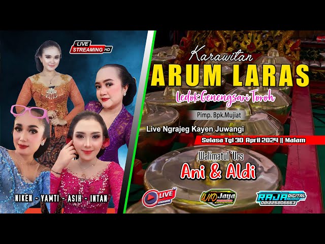 🔴#live ARUM LARAS LIVE NGRAJEG  30/04/24 |  | 📽WIDJAYA 🔈RAJA AUDIO class=