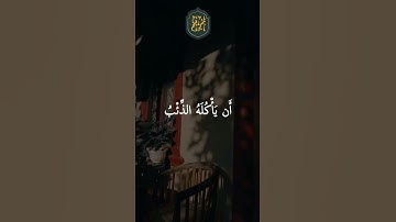 ❤️  تلاوة جميلة ارح سمعك بها سيد سعيد  #quran #تلاوة #اجر #سيد_سعيد  #فولو