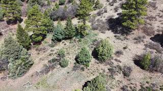 300 Shooting Star Pagosa Springs, CO 81147