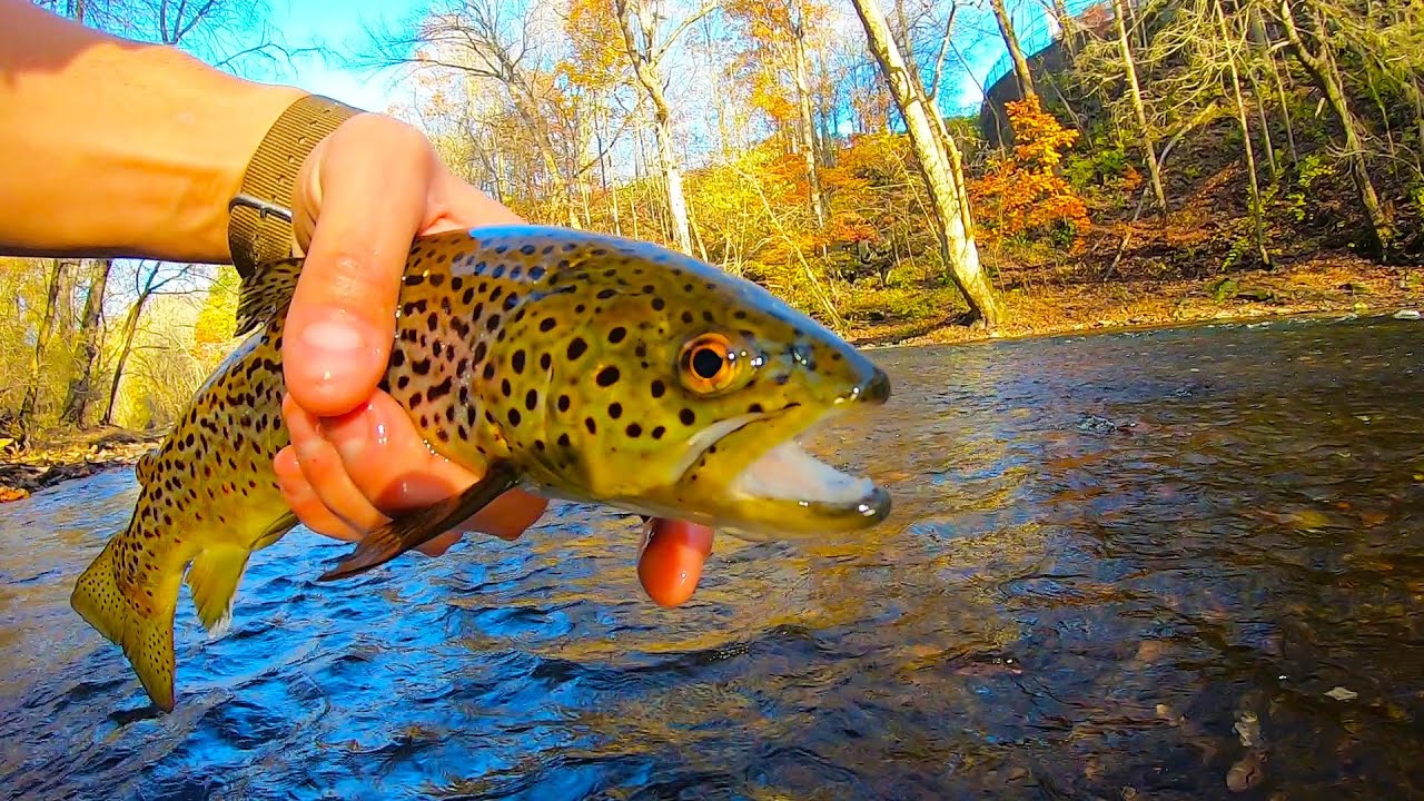 From Penns Creek to the Yellow Breeches 1 Day Fishing ODYSSEY YouTube