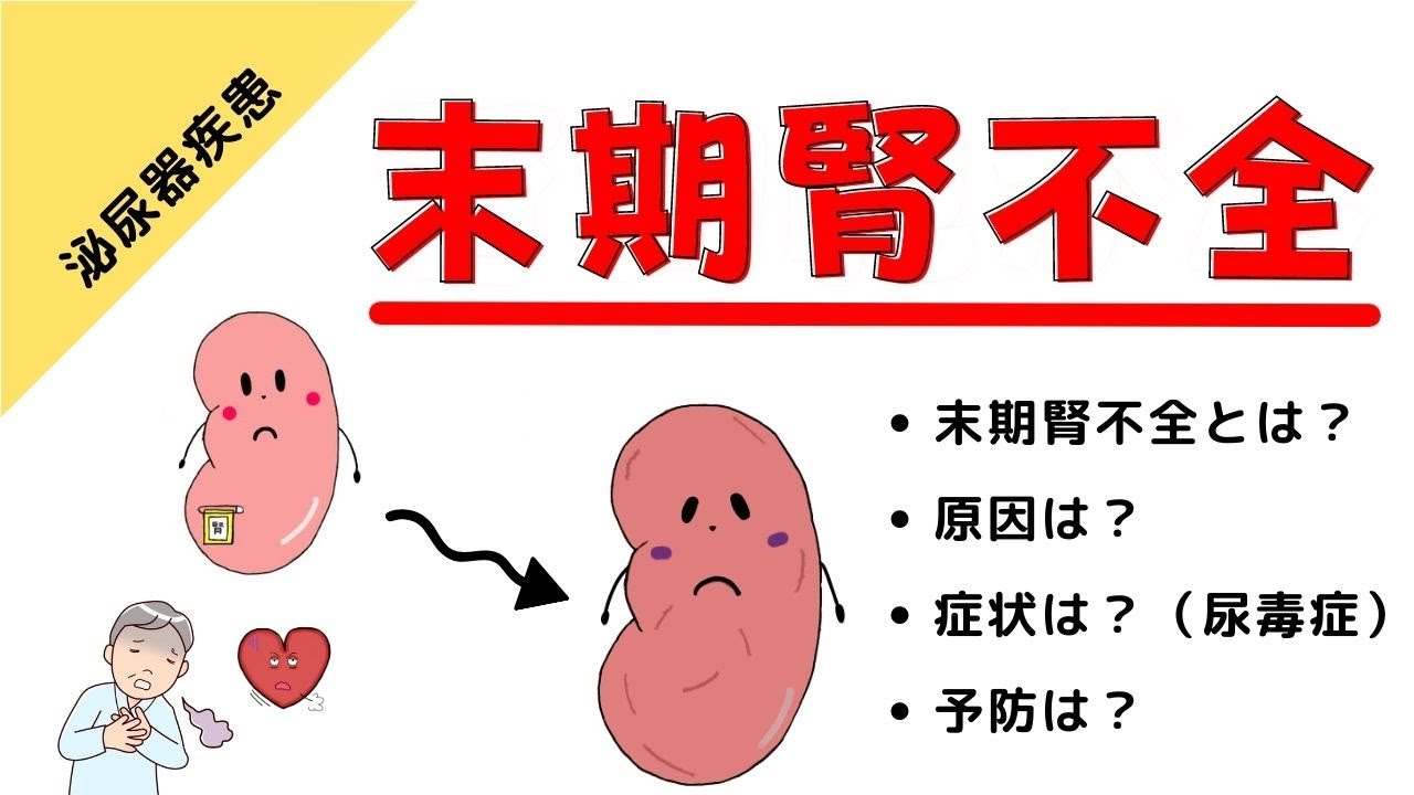 腎不全とは何ですか?