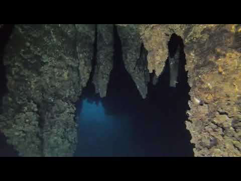 Chandelier Cave, Palau | Black Pearl Explorer