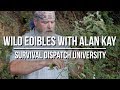 Wild Edible Plants With Alan Kay