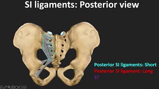 CT Evaluation of Pelvic Ring Injuries with Dr Sameer Raniga | Medality / MRI Online Radiology Course