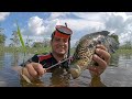 Pesca de Guapotes con Arpón en Rio