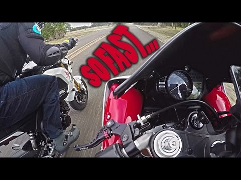 The Fastest Honda Grom...IN THE WORLD
