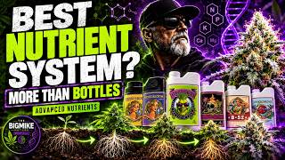 Best Cannabis Nutrient System? Why Advanced Nutrients Is More Than Bottles