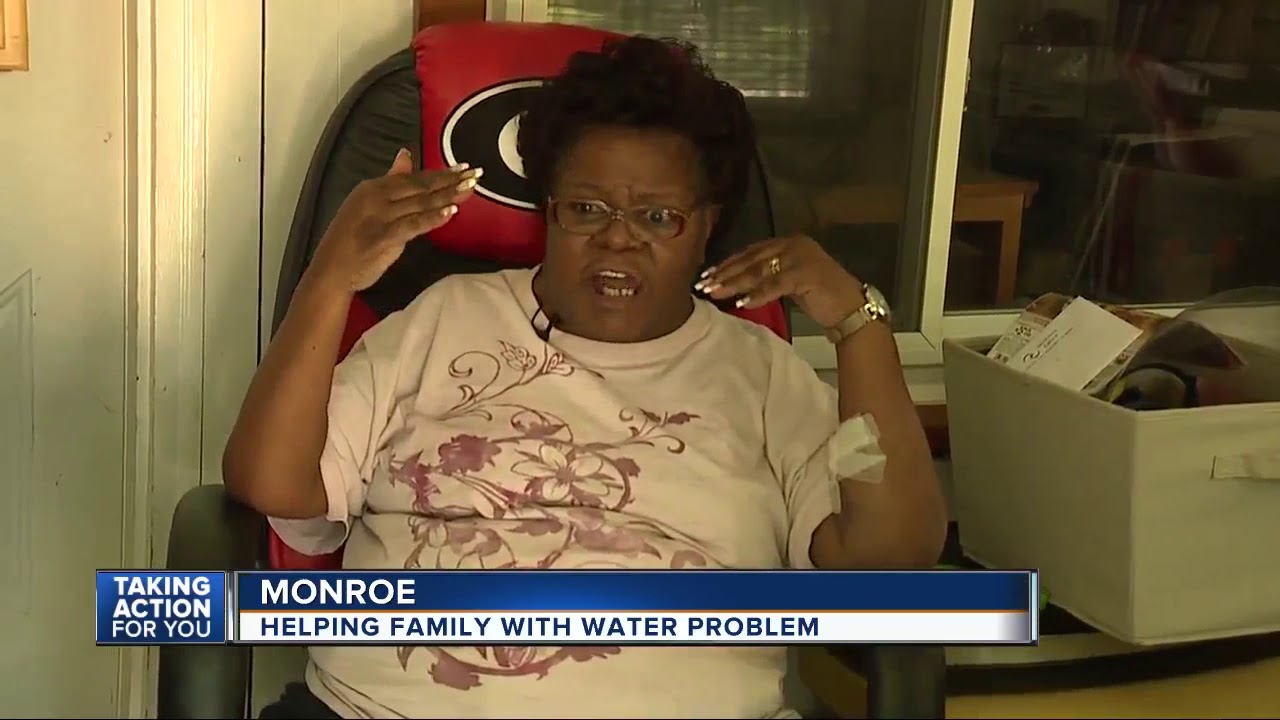 Metro Detroit family facing water drainage nightmare, mosquito infestation