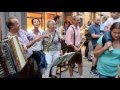 Kleiner Harmonikaspieler--Rucksackmusikanten  in Bad Kissingen