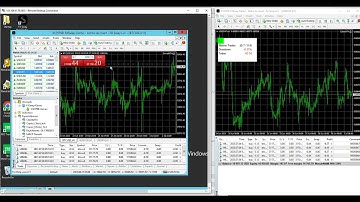 MT4 To MT4  Trade Copier: Your Best Working Trade Copier For Trading or  Selling Signals