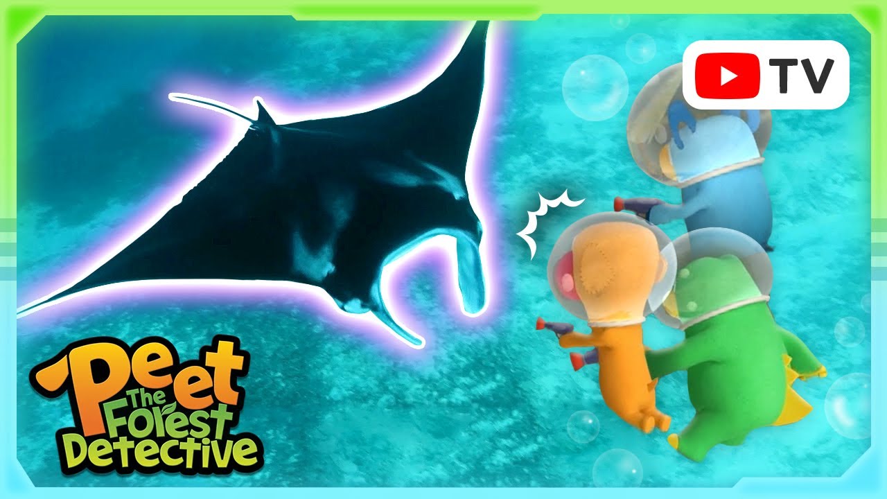 Underwater Marvels: Life Beneath the Waves | Peet The Forest Detective