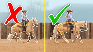 Ride Your Horse Back-To-Front The Real Way To Achieve Collection