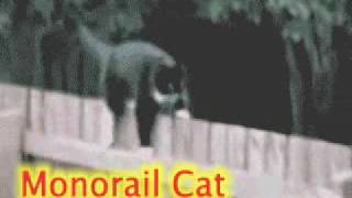 funny animated gifs part 1