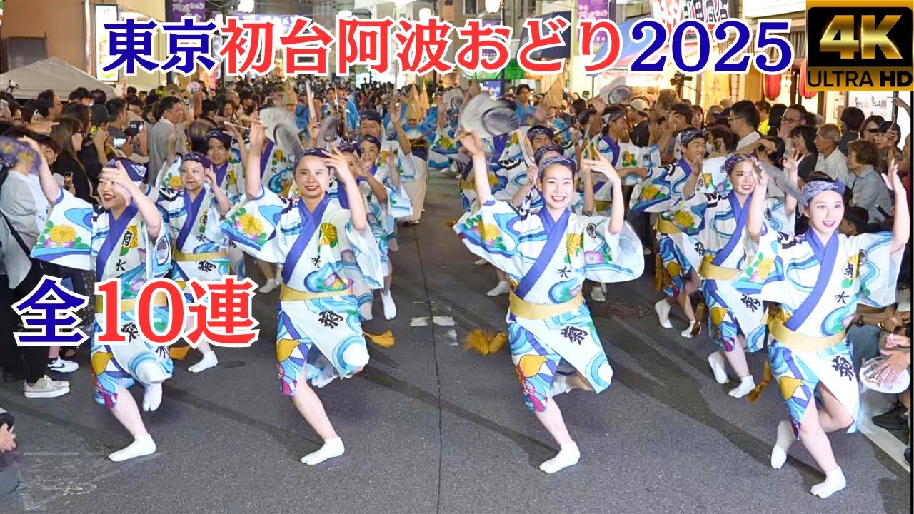 第53回初台阿波踊り2025★秋の商店街全体を揺るがすエネルギー★