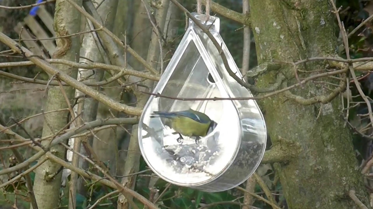 Mangeoire à Oiseaux Transparente Pour Fenêtre - Avec 4 Ventouses Et Perchoir, 25x15.5 Cm