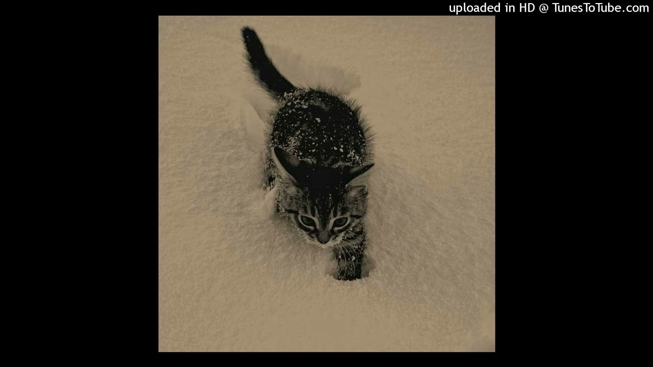 [FREE] голодный X темный принц type beat (yove + surgeise)