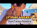 San Carlos Sonora, tienes que probar estas piñas locas! 👌🏻🤤🍍🥥🌴🌊