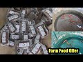 Farm Food Offer 100g|Erode |AJL Aquarium |Jayaraj|#petslovechannel 