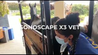 Ecógrafo Sonoscape X3 Vet
