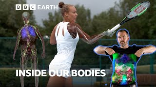 Inside Our Bodies Revealed | Secrets Of The Human Body | BBC Earth Science