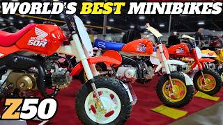 Honda Z50 Minibikes: Restoring Legends with Dennis of HONDA MINI
