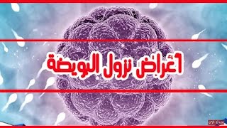 علامات تدل على فتره التبويض والحمل مباشره بعد الدوره الشهريه باذن الله تعالى ?