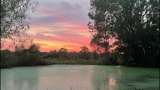 March/Spring tour of the property 😀🌲 lets do a walk about // Lil' Bit of Everything Homestead