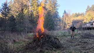Adding hops to the burn pile, big flame