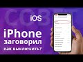 Мой iPhone заговорил, как это выключить? И что такое универсальный доступ?