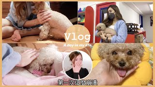 [VLOG]狗狗罹患乳線瘤 手術前後的經歷‍♀第一次這麼崩潰(中字)S.TONGLI