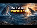BALEIAS TÊM CULTURA???