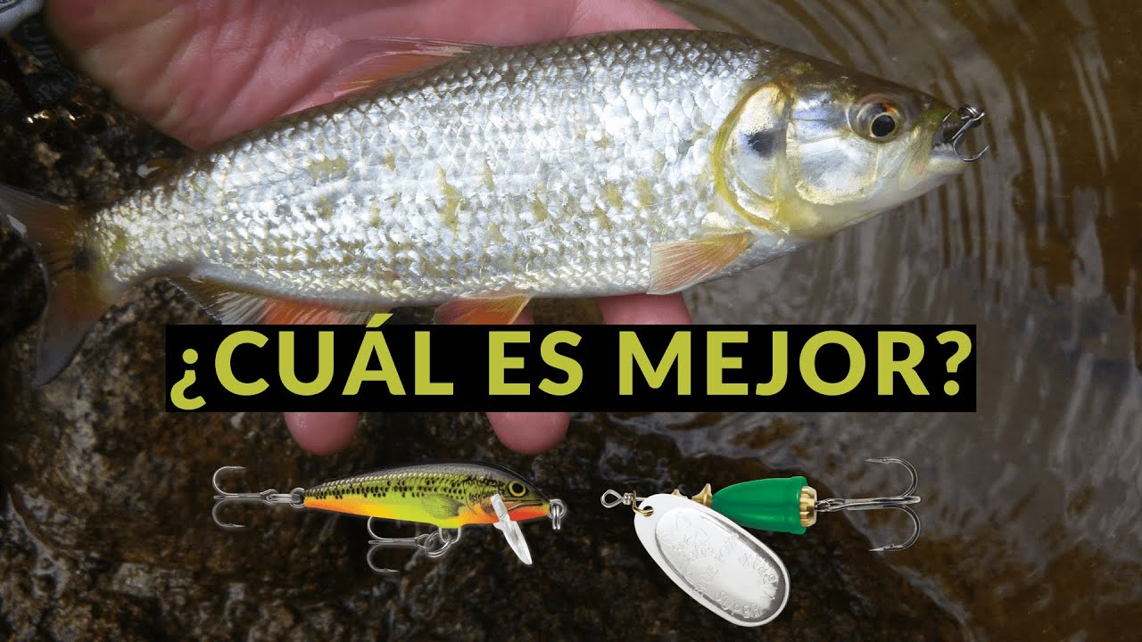 El mejor señuelo para pescar SABALETA