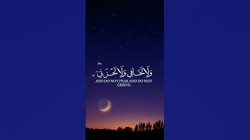 سورة القصص | للقارئ ياسر الدوسري #قرآن #راحة_نفسية #ياسر_الدوسري
