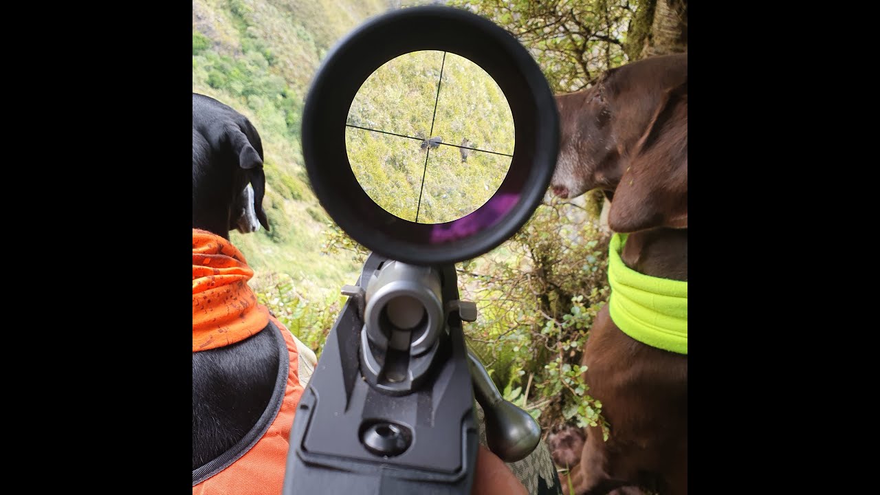 RIMUTAKA HUNTING | MID WINTER