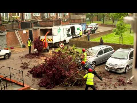 Tree Surgery [Time Lapse]