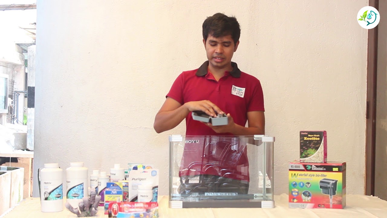 නිවසේ කරදිය මසුන් ඇති කිරීම ගැන සිංහලෙන් ම දැනගනිමු..