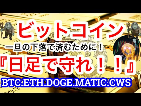 $24000で頭打ちか⁉️それとももう一段伸ばすのか⁉️下落の週明け😑下髭を伸ばす動きでいいよ💋イーロンマスク×マック❓【仮想通貨 BTC.ETH.DOGE.MATIC.CWS】