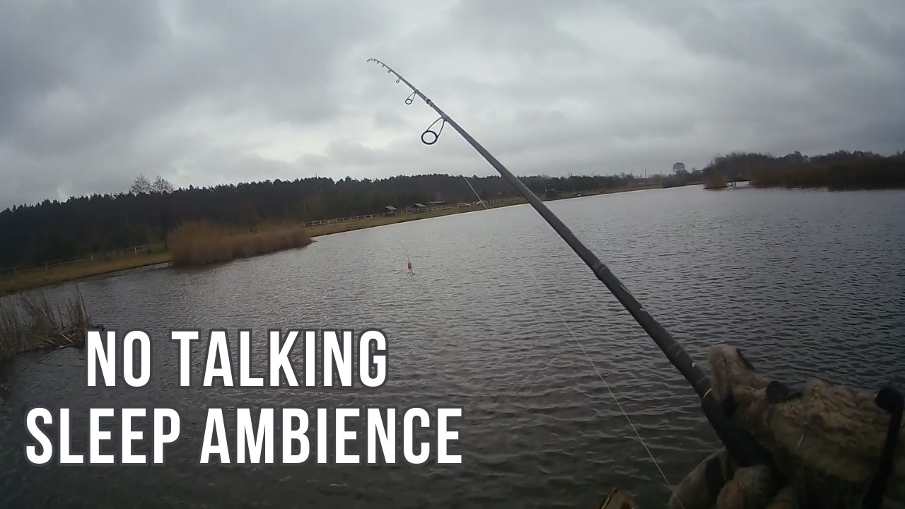 Deep Sleep Ambience — Silent Fishing Lake (No Talking)