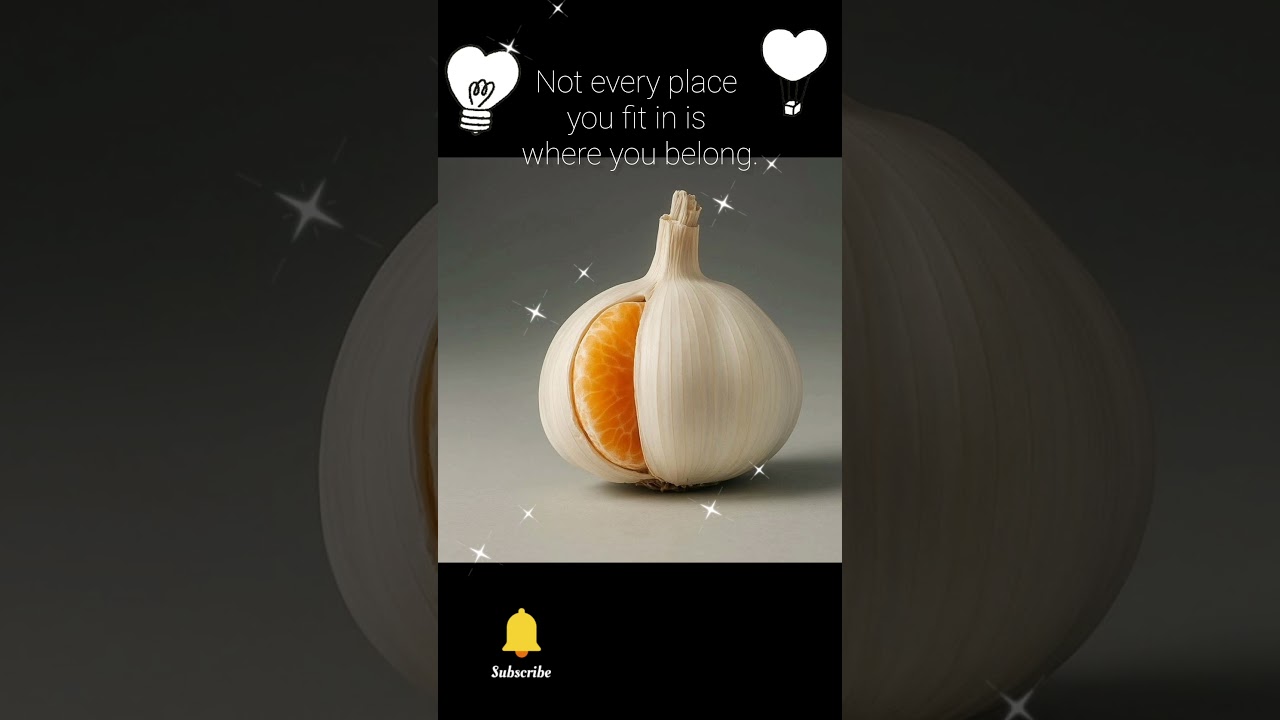 Not every place you fit in is where you belong.