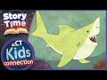 Storytime! - Finn Finds A Friend | Kids Connection - NBC Connecticut