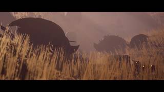 Project Kepler - Foliage Wind Demo