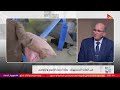 كلمة أخيرة - الأعلاف زادت حوالي 15 %.. ده يأثر إزاي على سعر كيلو اللحمة؟.. د. طارق سليمان يجيب