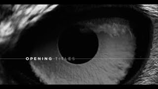 After Effects Template : Glitch Opening Titles