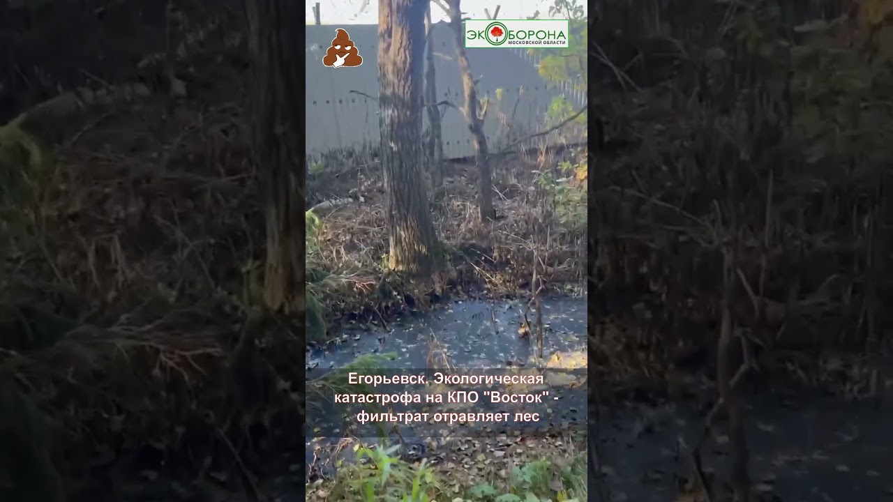 ☠️Фильтрат со свалки отравил лес 