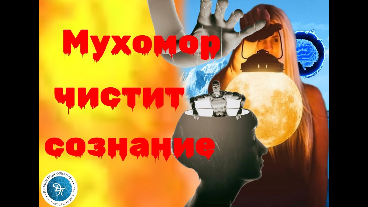 Мухоморы чистка сознания