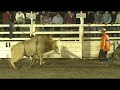 PBR Bundaberg - Sam O'Connor Barn Storm