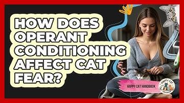 How Does Operant Conditioning Affect Cat Fear? - Happy Cat Handbook